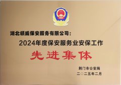 喜報！領(lǐng)威保安榮獲“2024年度保安服務(wù)業(yè)安保工